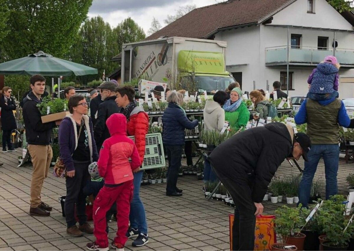 Zum neunten Mal lädt der Obst- und Gartenbauverein Koblach zum beliebten Gartenmarkt. Michael Mäser