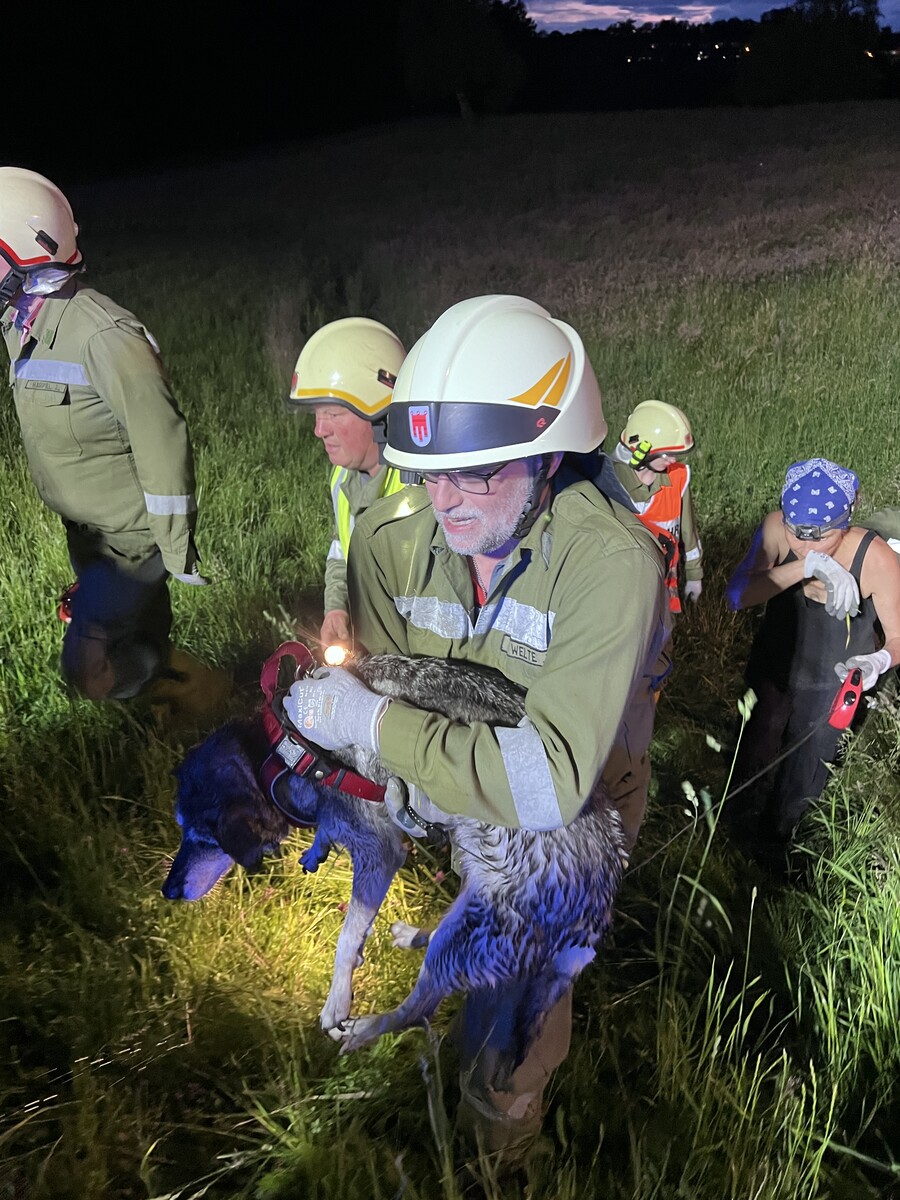 Auch der Hund wurde von der Feuerwehr geborgen.VLACH