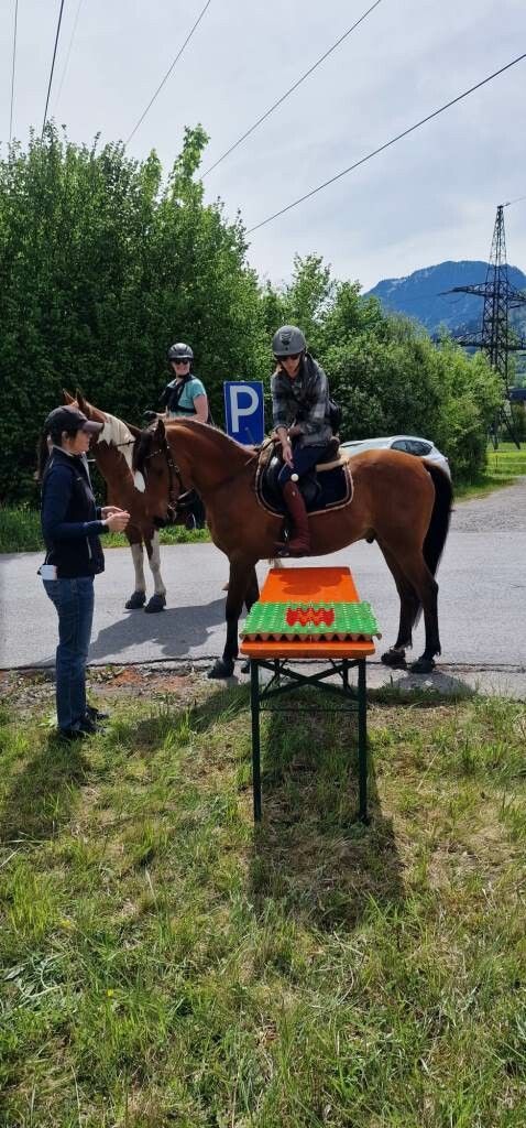 Auch die Geschicklichkeit hoch zur Ross wurde bewertet.RVFR