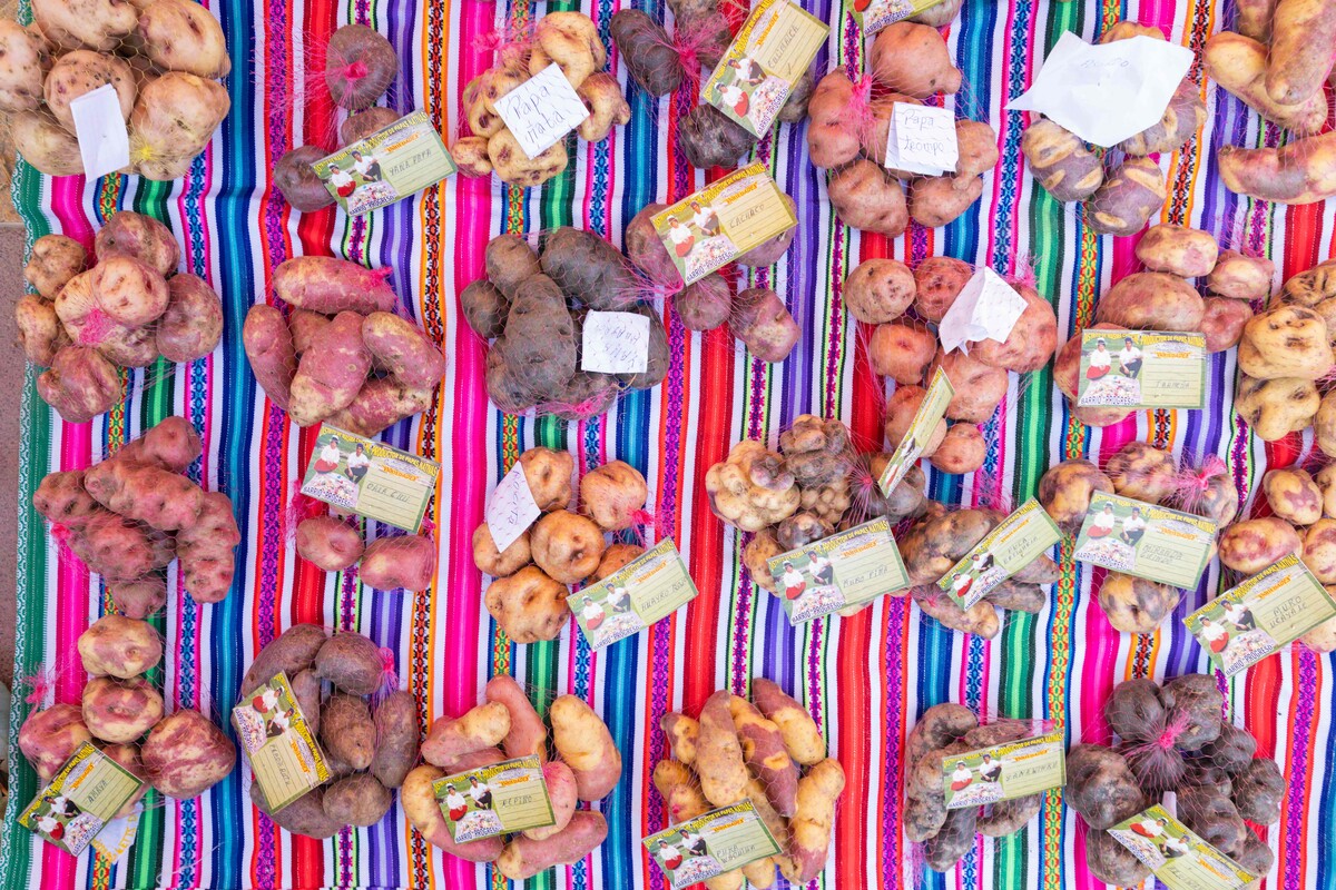Auf einem lokalen Straßenmarkt in Huancayo in der zentralen Andenregion Junín in Peru werden verschiedene Kartoffelsorten verkauft. AFP
