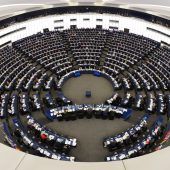 Das Europäische Parlament als demokratisches Fundament