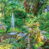 Ein Paradies für Pflanzenliebhaber