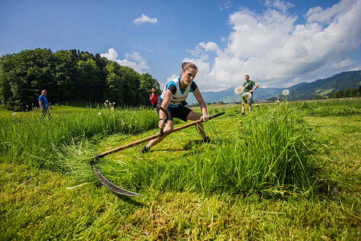 Das Handmähen hat im Bregenzerwald auch Wettkampftradition.vn/Steurer