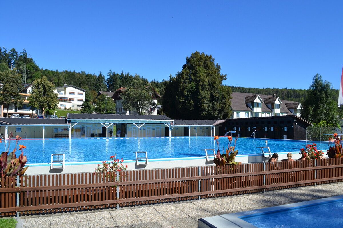 Das Seniorenprogramm Lebenslust und Tatendrang veranstaltet im Schwimmbad Felsenau den Kurs „Wasserrettung – im Notfall richtig handeln“.Freizeitbetriebe FK