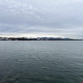 Ein virtuelles ­Wattestäbchen