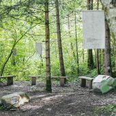 Lyrischer Waldpfad zu Ehren Felders