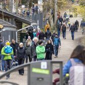 Seilbahn-Überlegungen für den Wildpark