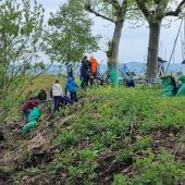 Arbeit im Dienst der Natur