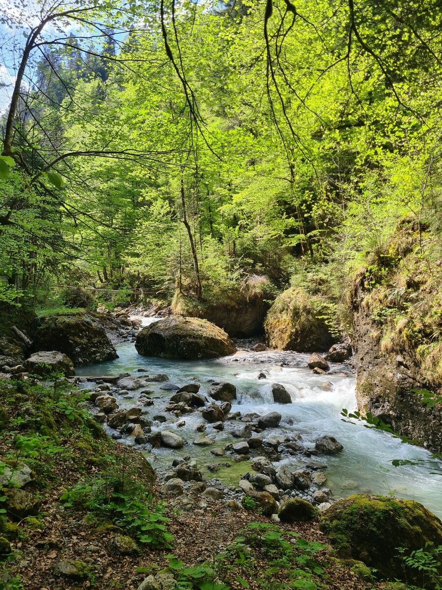 Die Bürser Schlucht ist nach umfangreichen Sanierungsarbeiten wieder offen. VN/JUN