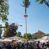 Maibaumfest in Hohenems