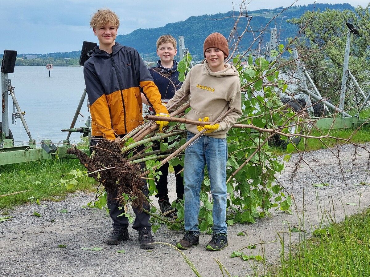 Diese fleißigen Gymnasiasten packten am Yachthafen kräftig zu.avj