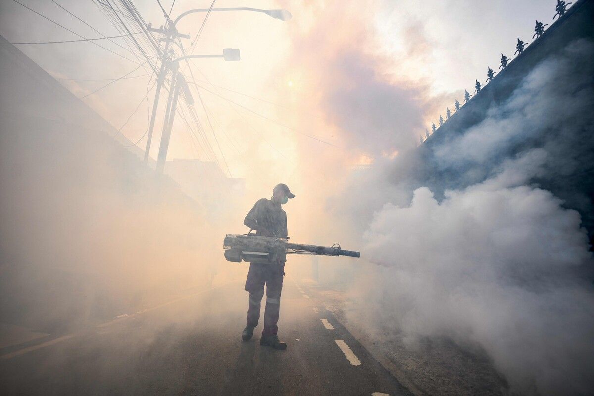 Ein Schädlingsbekämpfer desinfiziert in Jakarta eine Straße mit Insektiziden, um die Ausbreitung des Dengue-Fiebers zu stoppen. AFP