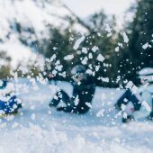 Skilift-Mitarbeiter sollen die Leihgebür von Zipfelbobs selbst eingesteckt haben. »A3