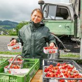 Frühzeitig in die Erdbeersaison