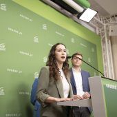Vorwürfe gegen Schilling treffen Grüne im Wahlkampf