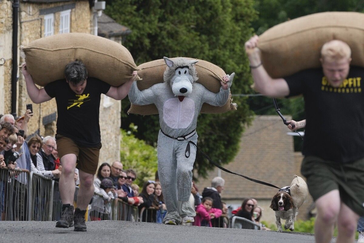 Joel Hicks schleppte als Wolf verkleidet einen 27 Kilo schweren Sack während der jährlichen Tetbury Woolsack Races in England. AP