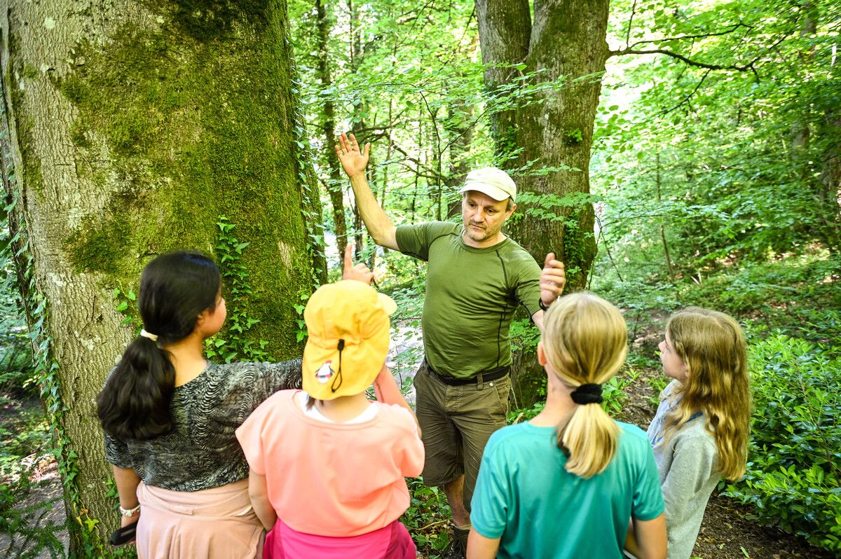 Jürgen-Thomas Ernst ist Autor von Belletristik sowie Sachbüchern zum Thema Wald, außerdem ausgebildeter Förster und Waldpädagoge.Udo Mittelberger