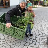 Jungpflanzenmarkt in Schruns