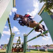 Springreiter bereits  in Olympiaform