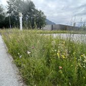 Frastanz beschließt Naturwerteplan