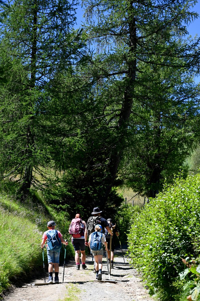 Wandern und Bergsteigen sind auf Platz eins der sportlichen Betätigung. apa