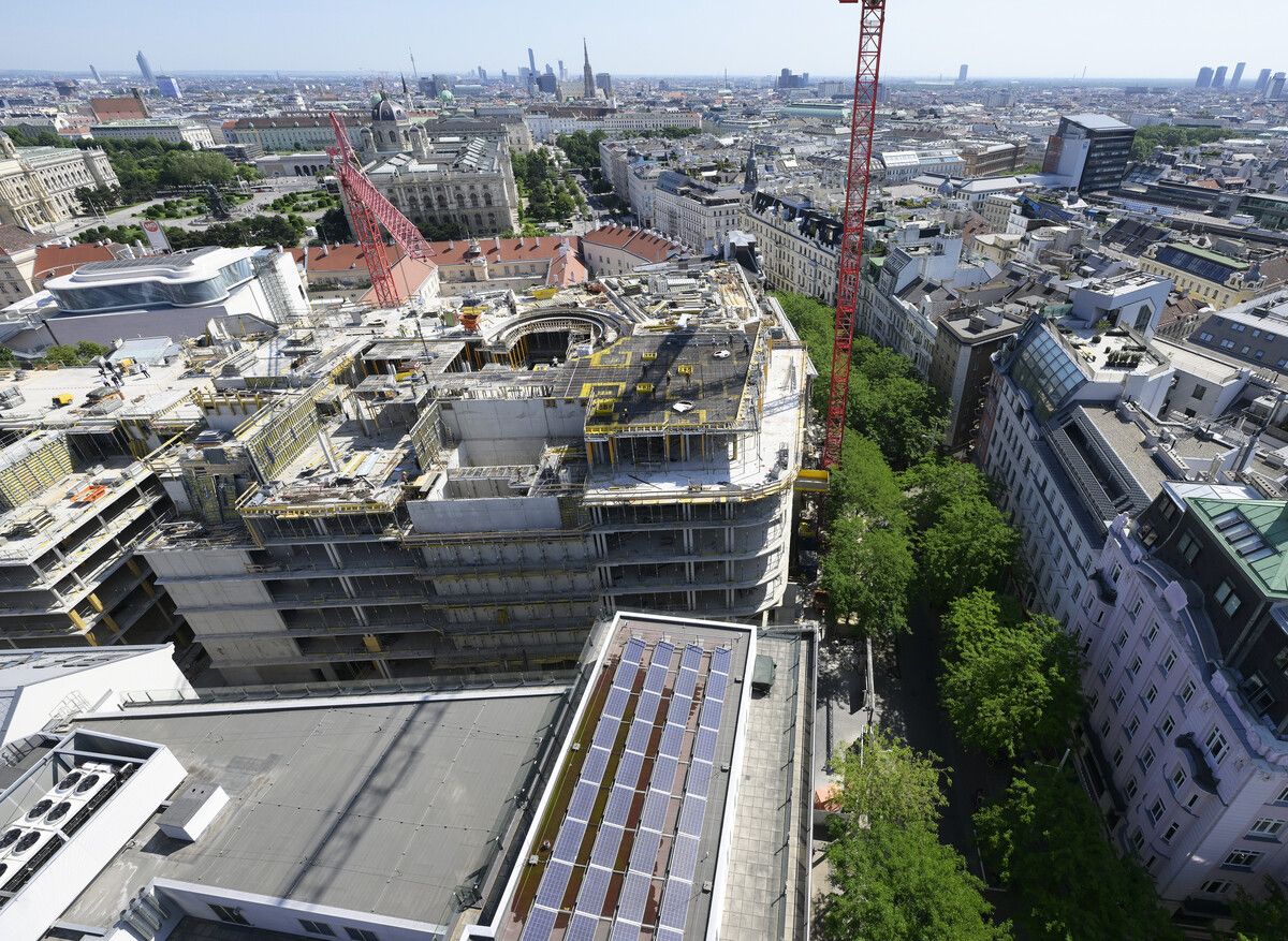 Wie soll bei Baustellen künftig mit Bäumen umgegangen werden? Diese Frage könnte in einer Baumverordnung geregelt werden.