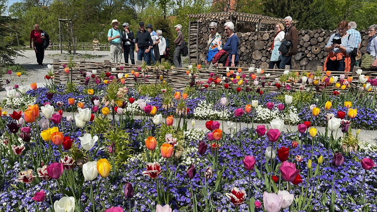 50plus Höchst besuchte die Landesgartenschau in Wangen. 50plus Höchst