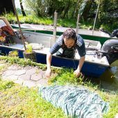 Bodenseehochwasser ist vielleicht für die Fisch’