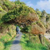 Unberührtes Stewart Island