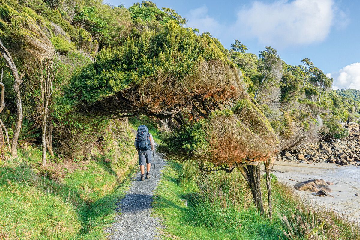 Besonders schön sind auch die Wanderungen im Naturschutzgebiet.Shutterstock