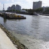 Paris hat ein dreckiges Problem