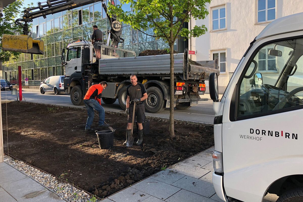 Die Dornbirner Stadtgärtnerei stellt sich bei „Fritag am füfe“ vor.Stadt Dornbirn