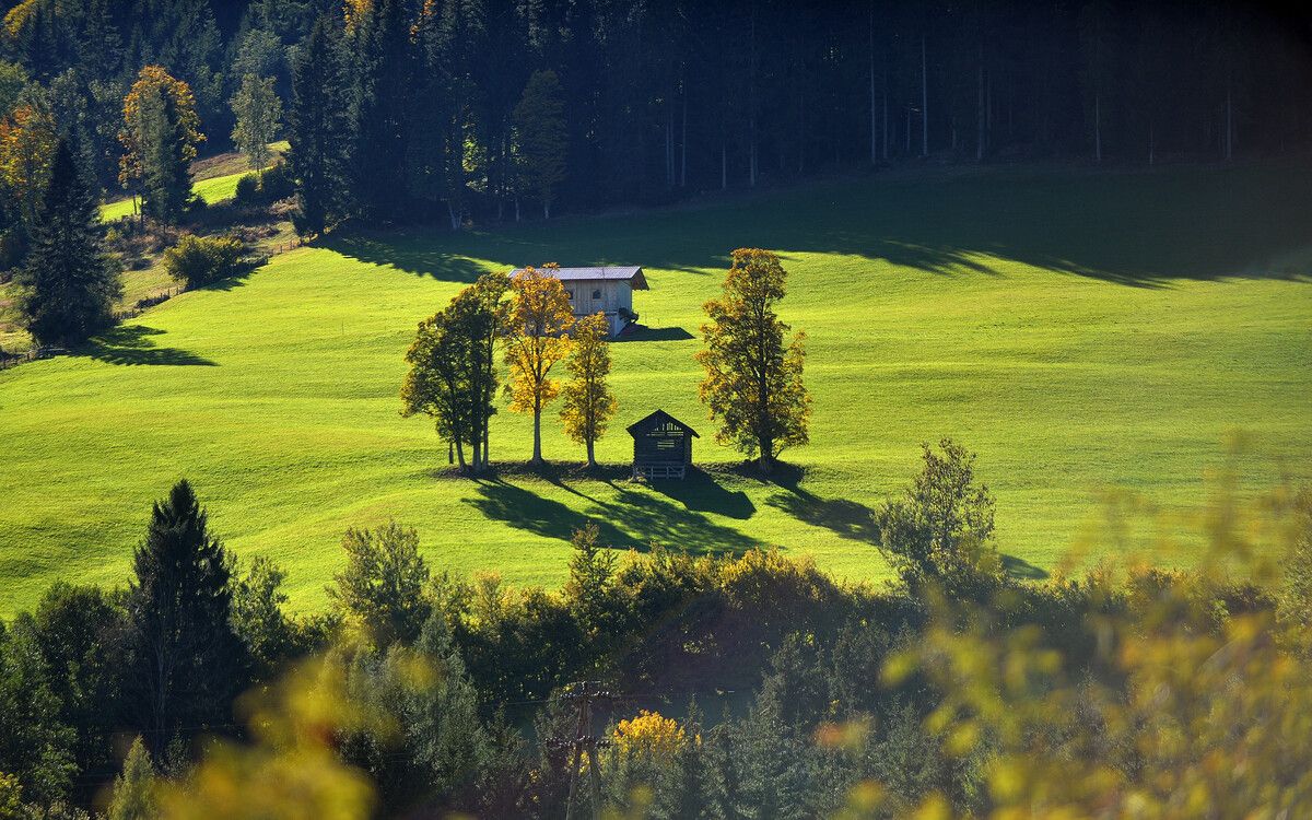 Die Fahrt mit dem Zug führte durch die wunderschöne Landschaft des Pongaus. APA/BARBARA GINDL