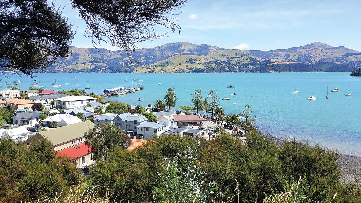 Die Hafenstadt Paihia befindet sich in der Bay of Islands.Shutterstock