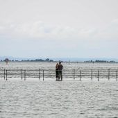 Hochwasserstimmung am Bodensee