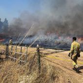 Libanon greift Israel weiter an