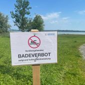 Unter Beobachtung