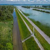 Bodensee am Limit