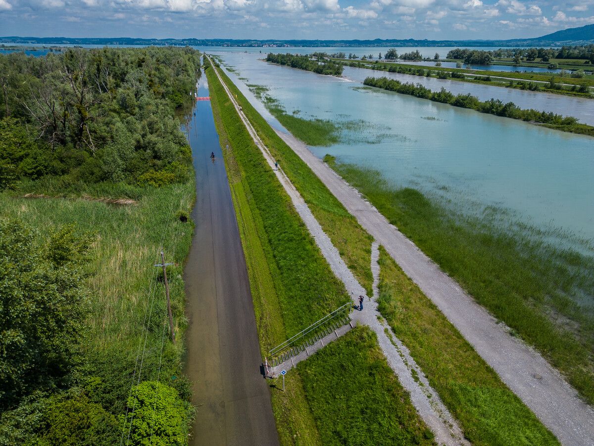In der Rheinmündung staut sich das Wasser. VN/Steurer