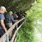Pflanzenwelt der ­Bürser Schlucht