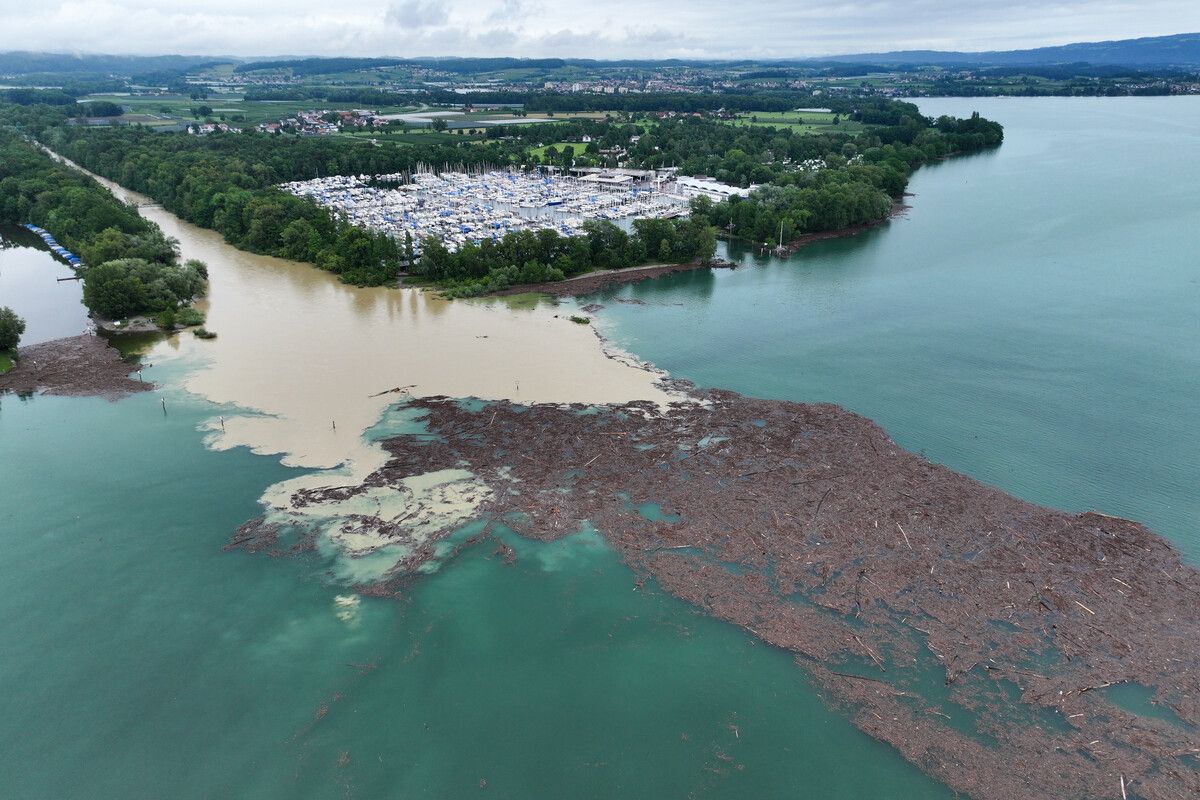 Treibholz schwimmt wie ein brauner Teppich auf dem Bodensee vor Langenargen. APA/Kästle