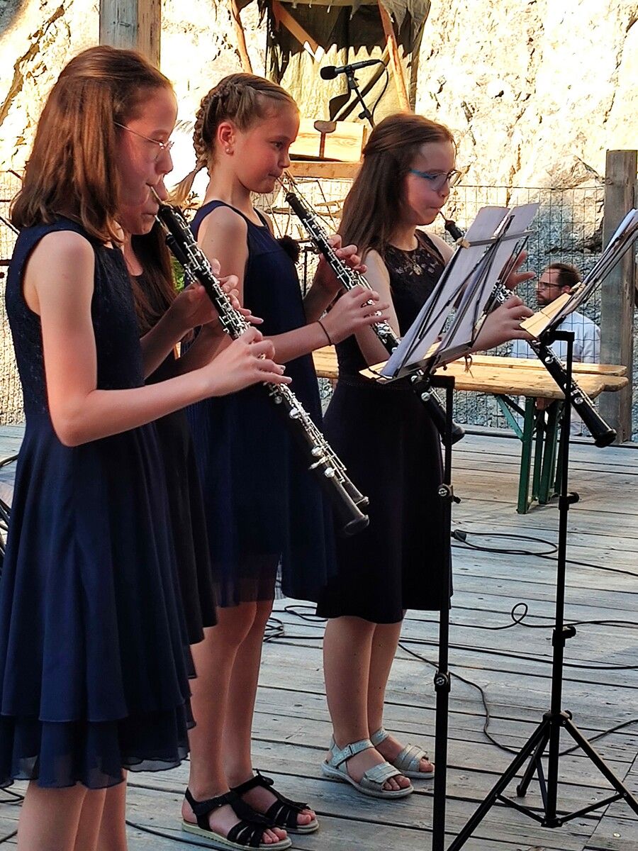 Verschiedene Ensembles werden ihr Können beim Konzert präsentieren. musikschule
