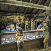 Natur, Mensch und Technik erleben in der inatura Dornbirn