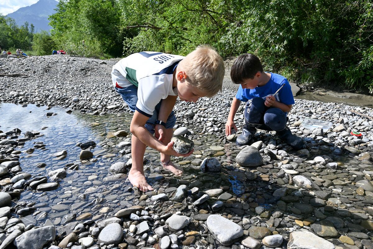 Volksschüler gingen auf die Suche nach kleinen Wasserlebewesen, die sich gerne unter den Steinen verstecken.