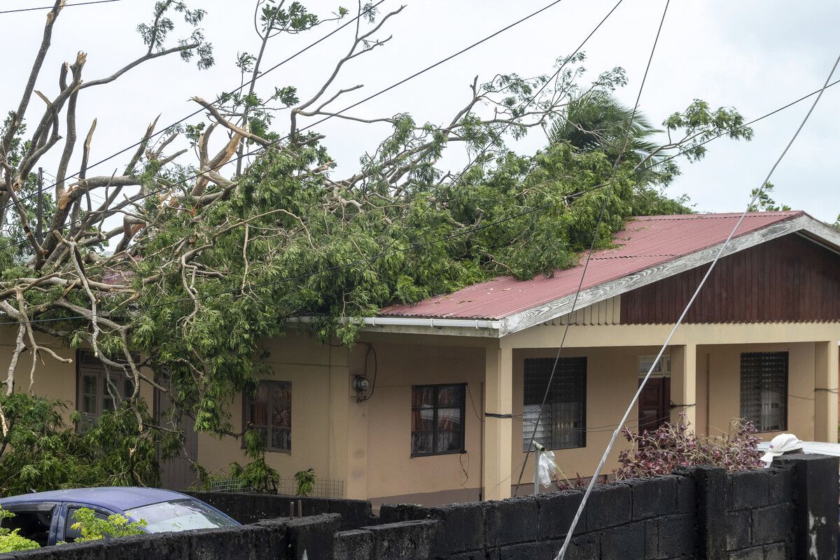 Bäume krachten auf Häuser, wie hier in Kingstown. reuters