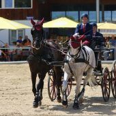 Erfolgreiches Dressur- und Fahrturnier in Rankweil
