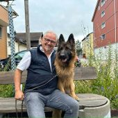 Abgestürzte Hündin nach acht Tagen aus Bergnot gerettet