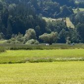 Gefängnisausbrecher geht auf Polizei los