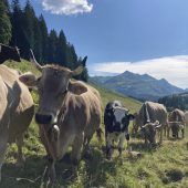 „Jeder Kunde weiß, er hat den Ikarus gegessen“