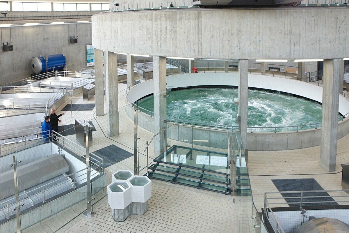 Die Trinkwasseraufbereitung in Sipplingen. Bodensee Wasserversorgung